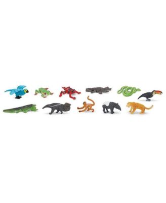 - Rainforest Toop with densest jungles