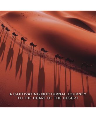 Absolus Allegoria Tabac Sahara Eau De Parfum Spray, 4.2 oz.