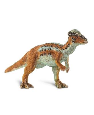 - Pachycephalosaurus