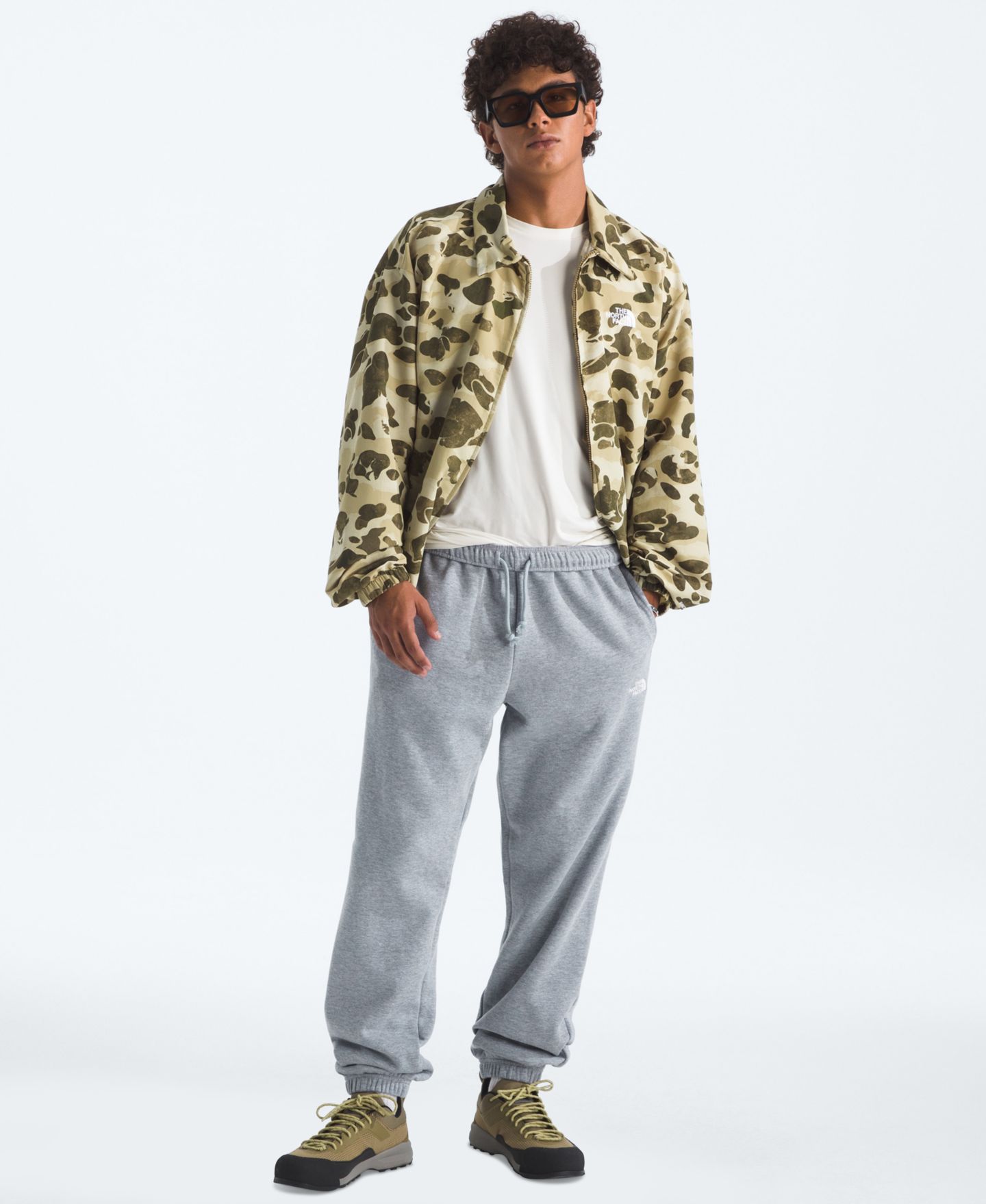 Мужские брюки The North Face Evolution Simple Dome Regular-Fit, цвет: Бледный серый меланжевый — фото 2