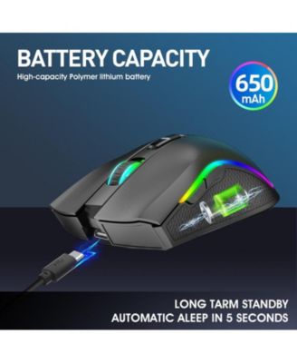 RGB Gaming Mouse - 2.4G Wireless Mouse, 4800 DPI Adjustable, Type-C Rechargeable, 650mAh Battery, 7-Button Design, for PC & Laptop, Mac