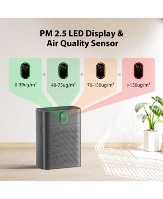 Large Room Air Purifier: PM2.5 display, 99.97% allergen removal (pet hair, etc.), double-sided intake. Covers 1076 sq ft, quiet 24dB