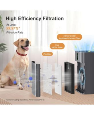 1076 ft² Smart Air Purifier: Wi-Fi/Alexa control, PM2.5 display, HEPA filter. Removes dust, pollen, smoke. Ultra-quiet 24dB