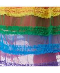 Women's Plus Size Tiered Sheer Swing Dress