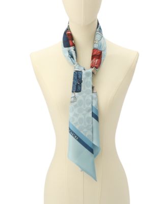 Women's Stacked Tabby Printed Wide Silk Skinny Scarf