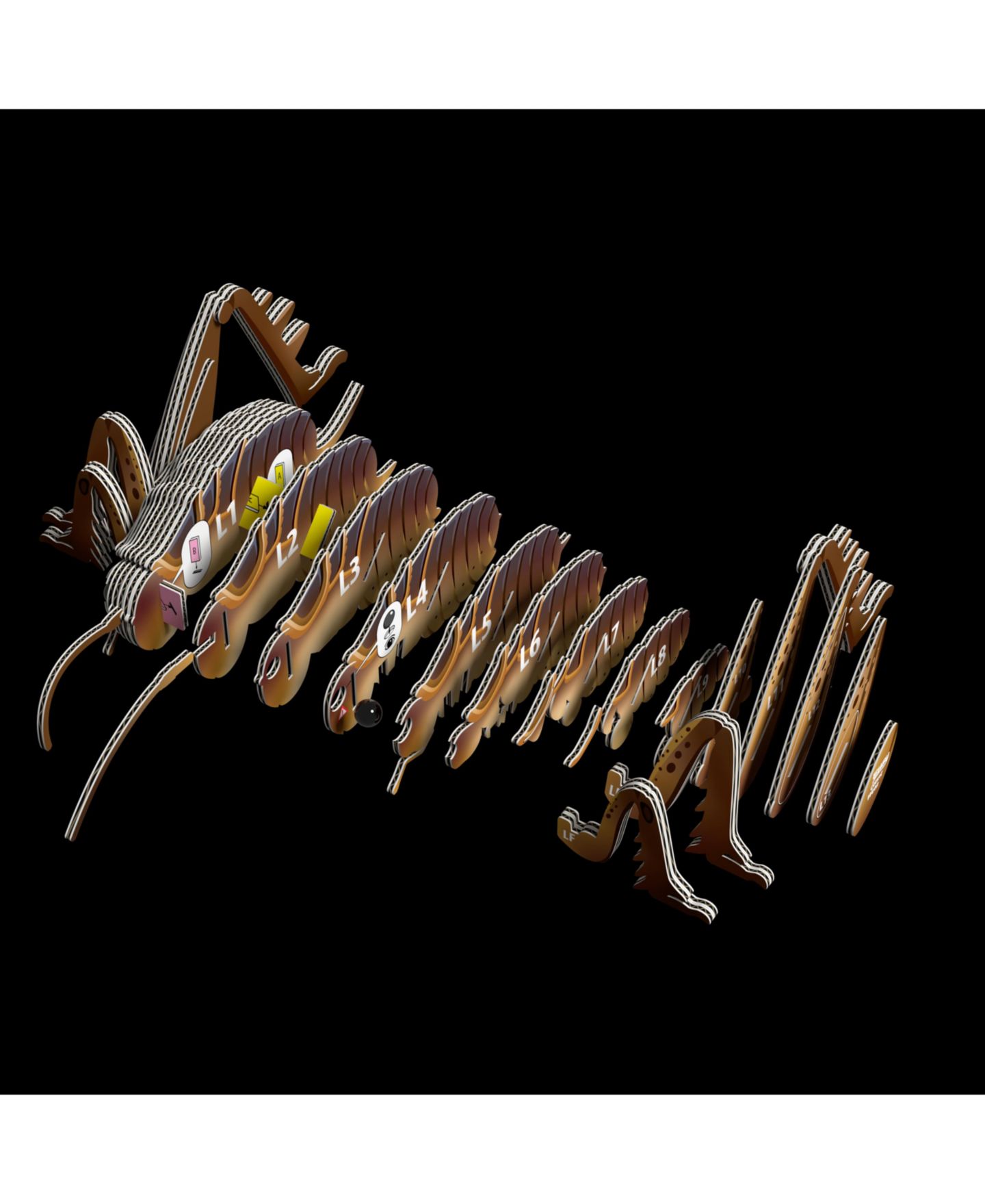 Детский пазл Eugy Giant Weta 1-50 Piece 3D Puzzle, Ages 6+, цвет: Open Miscellaneous — фото 2