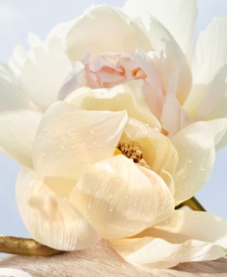 Omnia Crystalline Eau De Toilette, 1.7 oz.