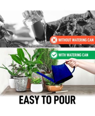 Small Watering Can with Long Slim Spout for Indoor Plants, 47oz