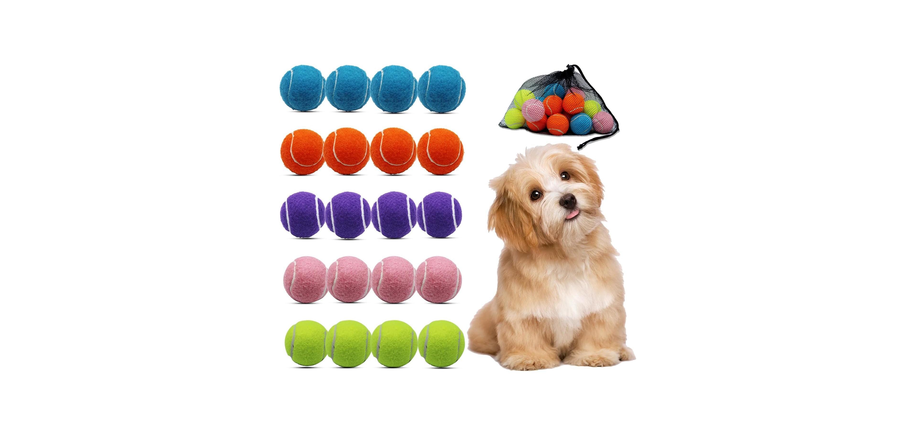 Magicorange Pack of 20 Small Tennis Balls 2 Inch Size for Dogs Colorful Pet Playing Balls with Mesh Bag for Easy Transport and Interactive Play