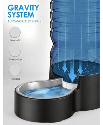 Easy Clean Wide-Mouth Dog Water Dispenser with Removable Bowl