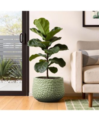 Leaf Embossed MgO Planter, 16.5" Textured Pot for Outdoor & Indoor