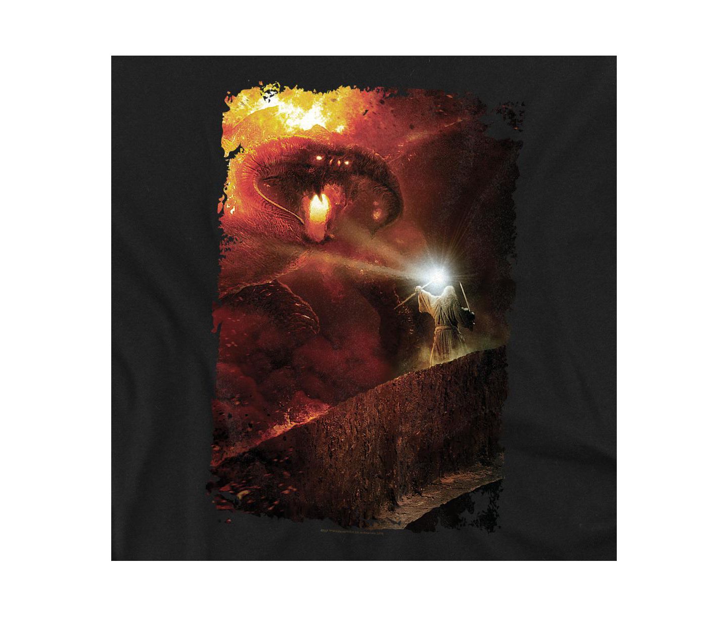Мужская футболка Lord Of The Rings The Balrog You Shall Not Pass, цвет: Чёрный — фото 2