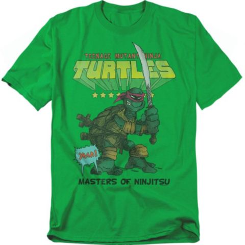 Мужская футболка Teenage Mutant Ninja Turtles Big & Tall Masters Of Ninjitsu, цвет: Зелёный