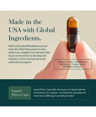 Rhodiola Rosea - Supporting Healthy Stamina & Endurance - With Siberian Rhodiola Root Extract - 120 Liquid Phyto-Caps (120 Servings)