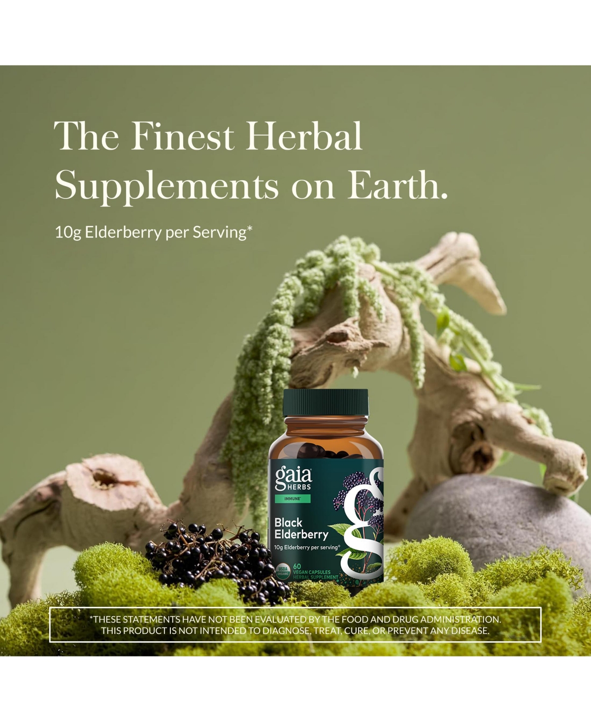 Gaia Herbs Black Elderberry