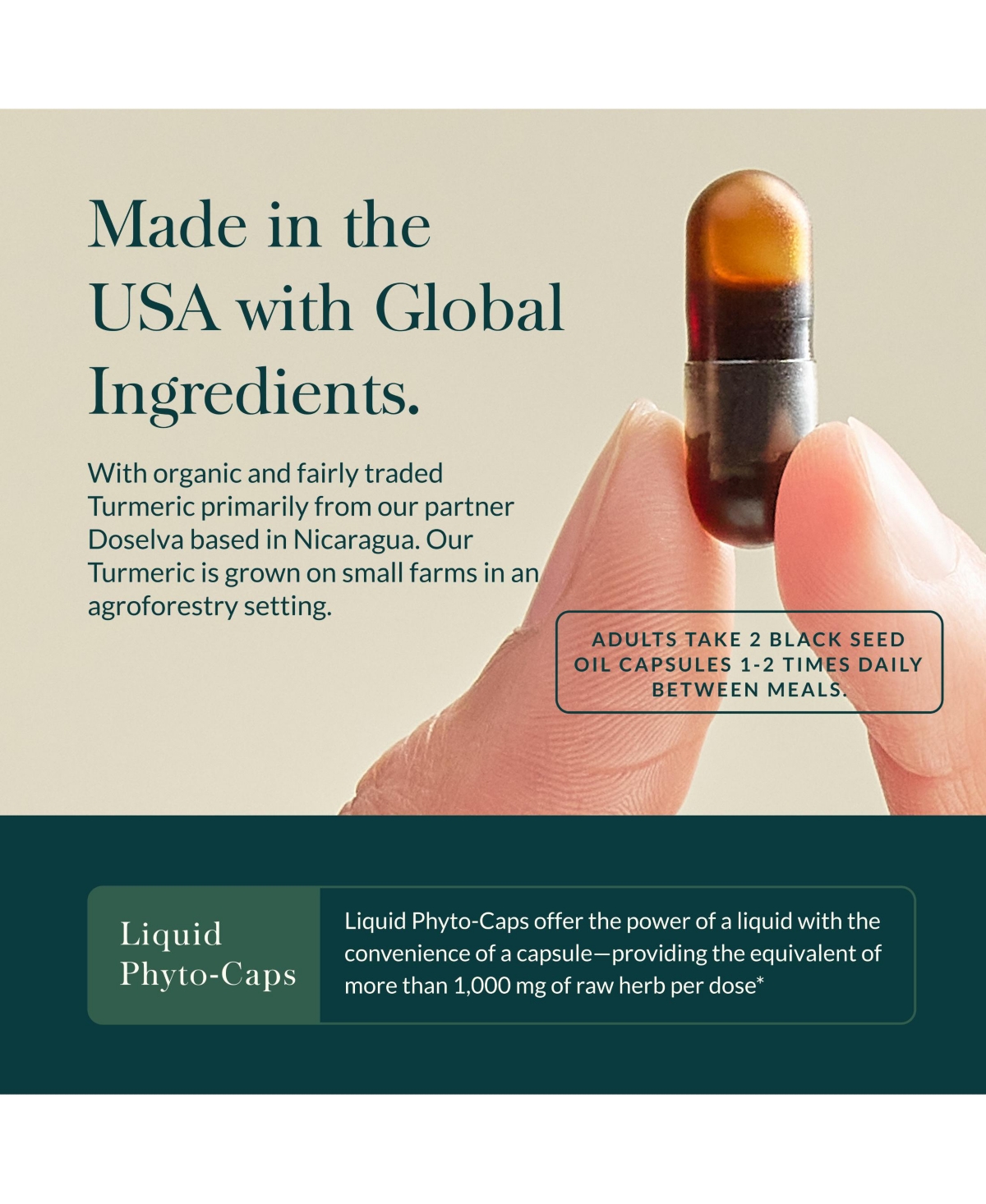 Gaia Herbs Black Seed Oil - Cold-Pressed Capsules for Lung, Respiratory, and Antioxidant Support - With Organic Nigella Seed Oil - Herbal Supplement