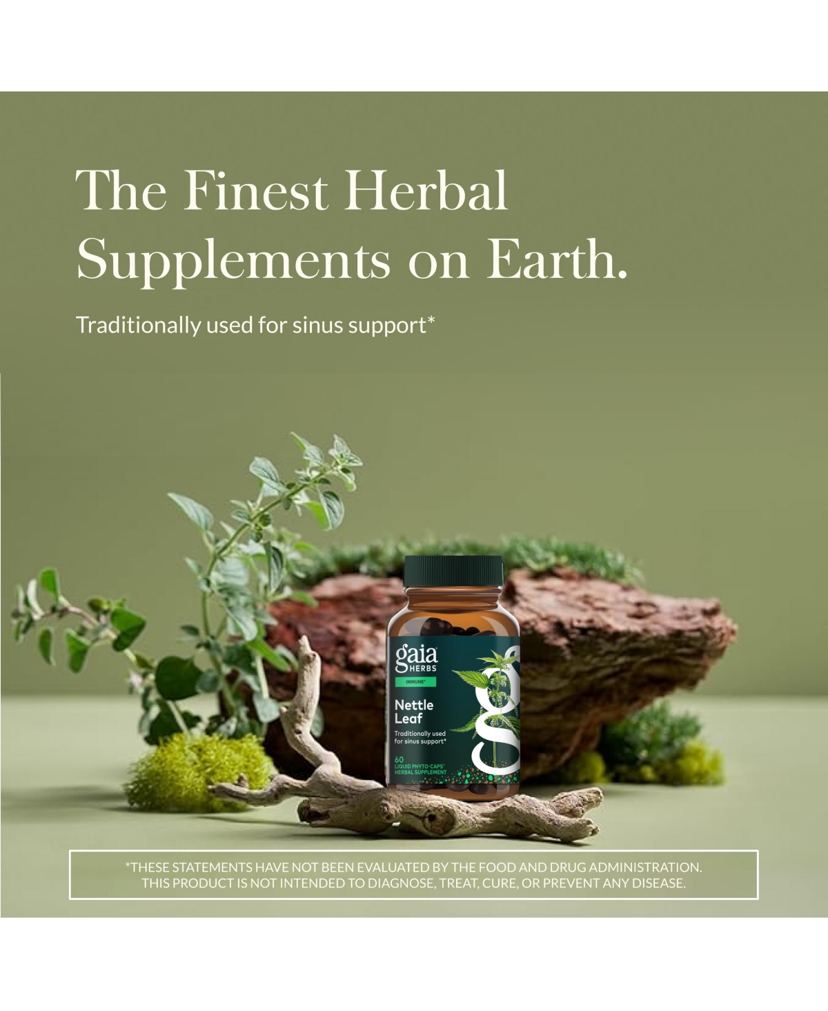 Gaia Herbs Nettle Leaf - Immune, Respiratory, and Sinus Support Supplement - Helps Maintain Upper Respiratory Health - Supports Immune Health