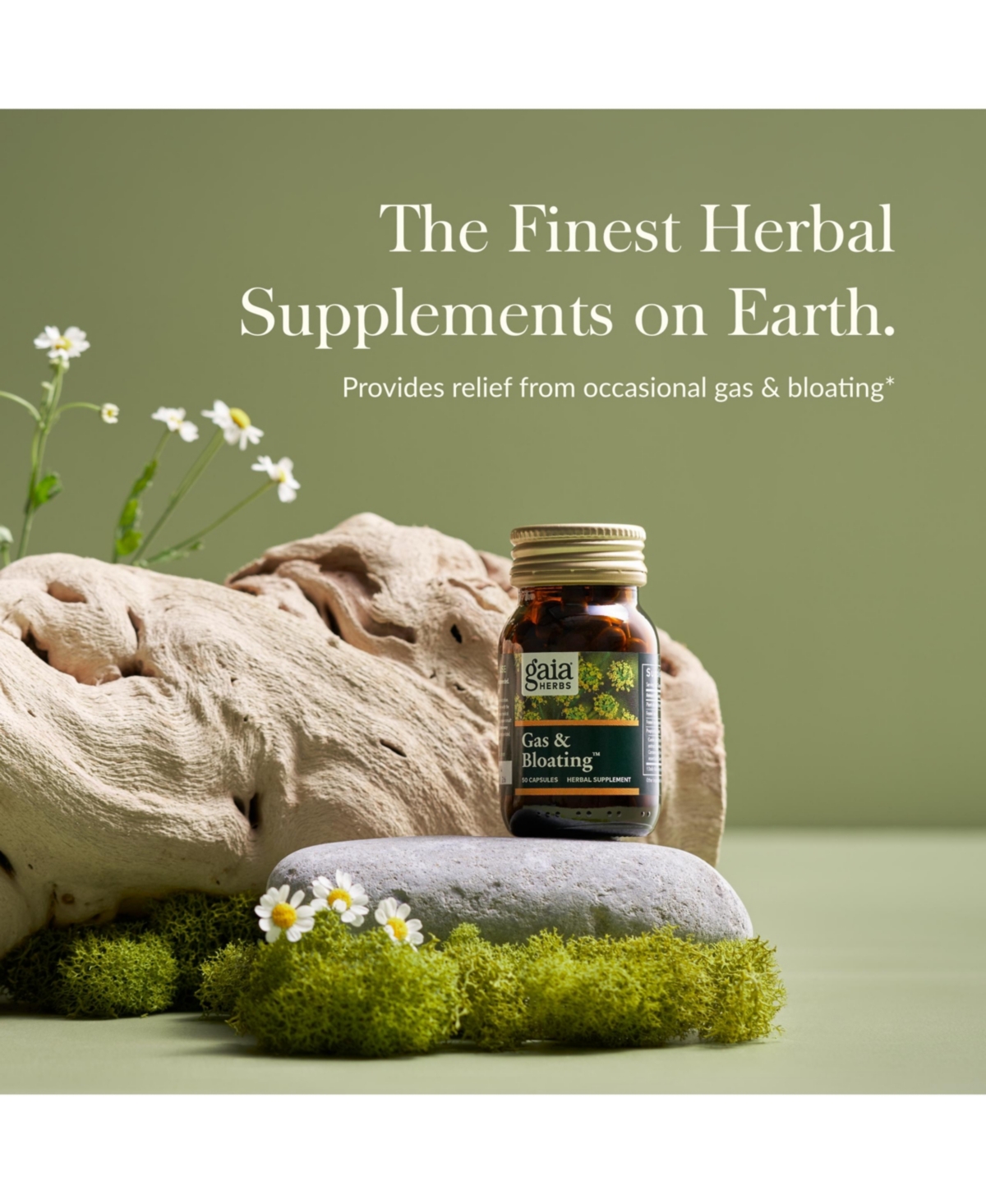 Gaia Herbs Gas & Bloating - Provides Relief from Occasional Gas and Bloating