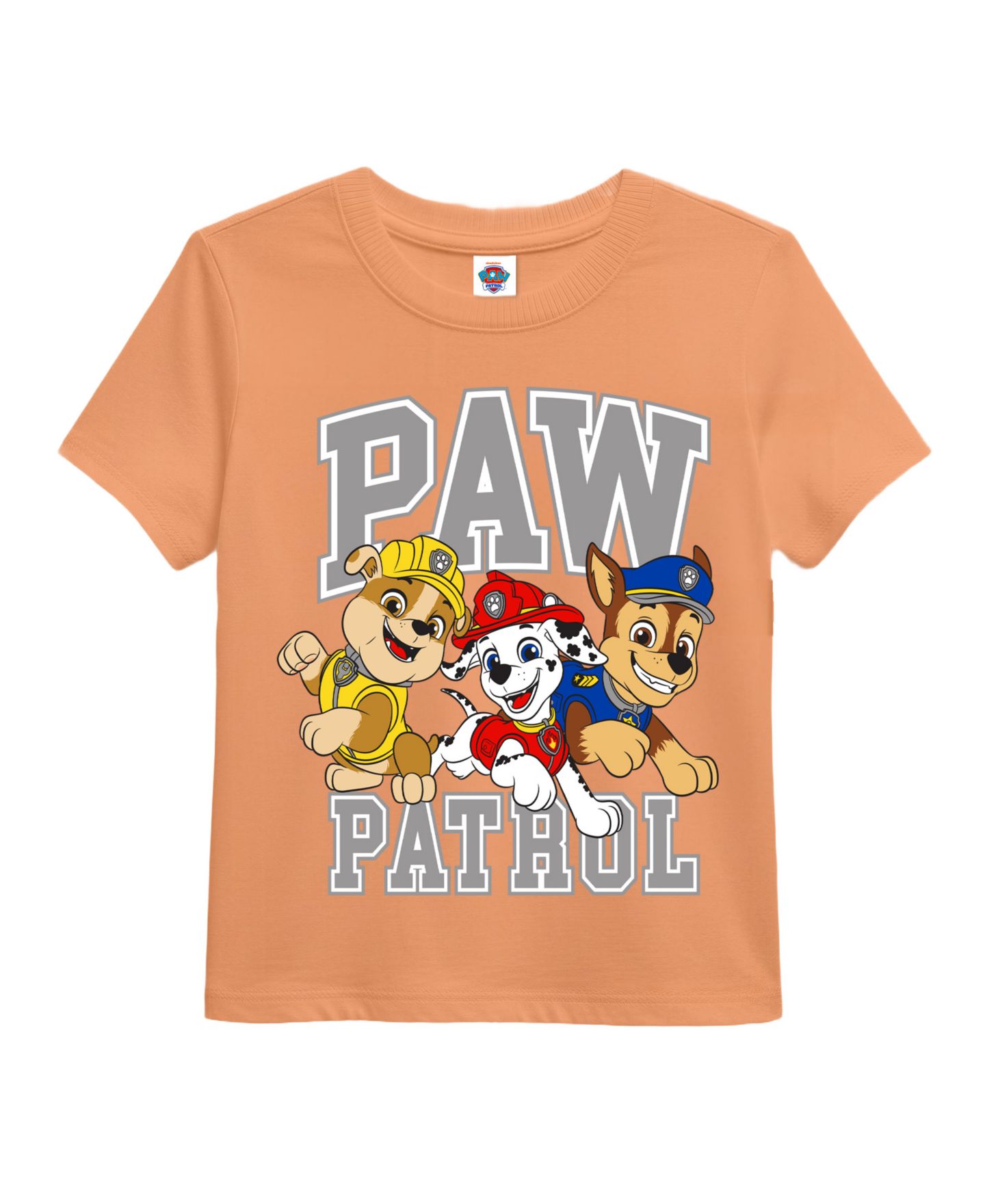 Футболки Paw Patrol Short-Sleeve Graphic Print T-Shirt, 3-Pack для мальчиков, цвет: Assorted — фото 6