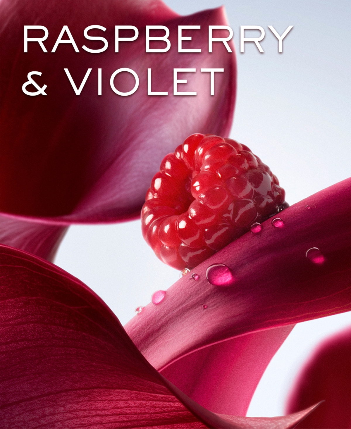 Lancome La Vie Est Belle L'Elixir Hair and Body Mist, 3.4 oz.