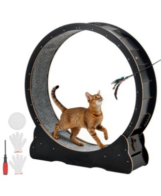 48" Wooden Cat Exercise Wheel with Carpeted Runway and Locking Mechanism