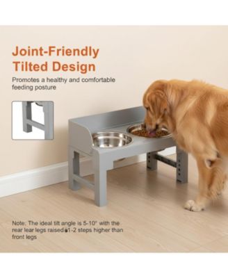 Dog Elevated Stand with Slow Feeder & 2 Stainless Steel Bowls Adjustable Height Tilted Design