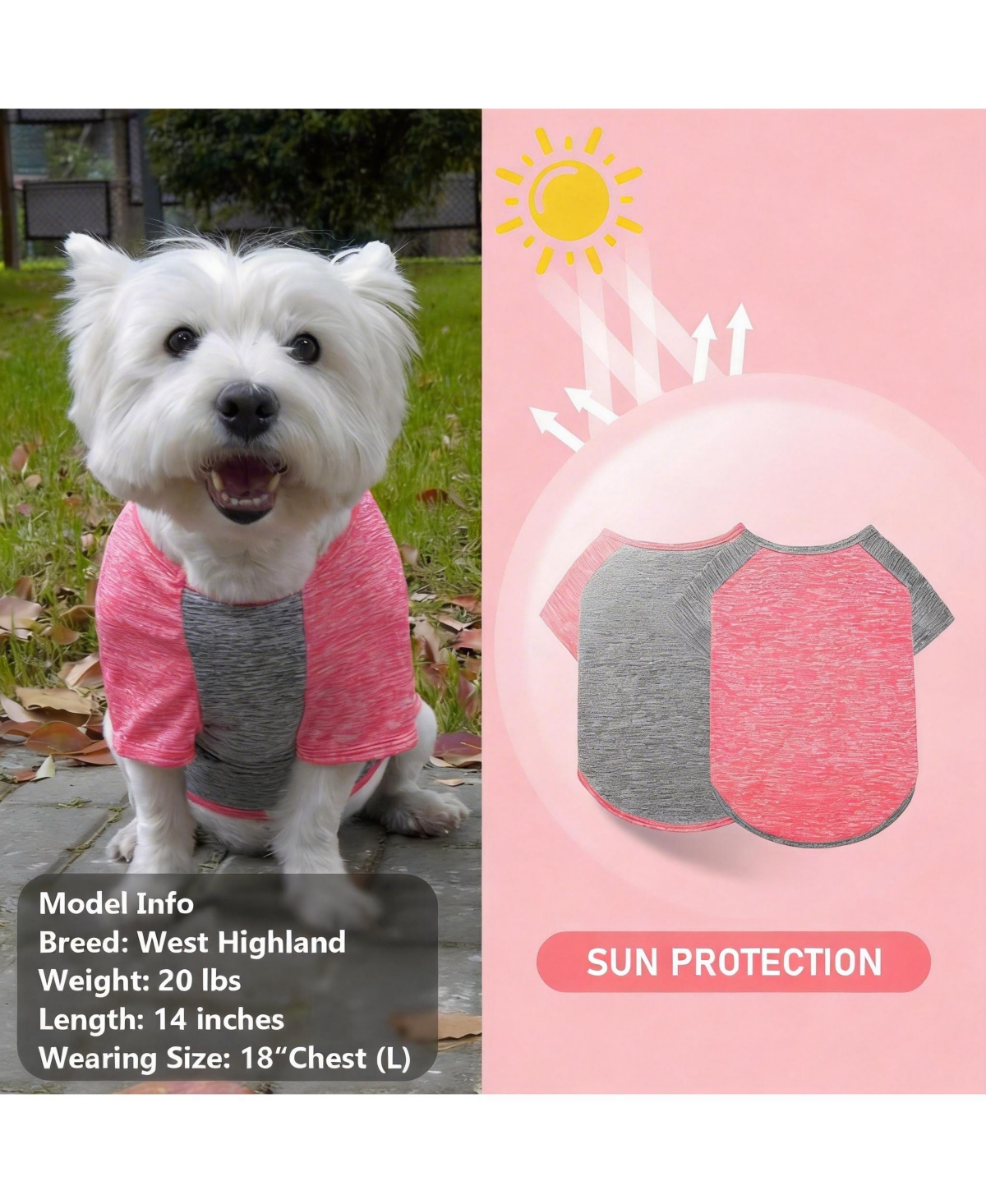 Aronkl 2-Pack Lightweight Athletic Dog T-Shirt with Reflective Label for Outdoor Use