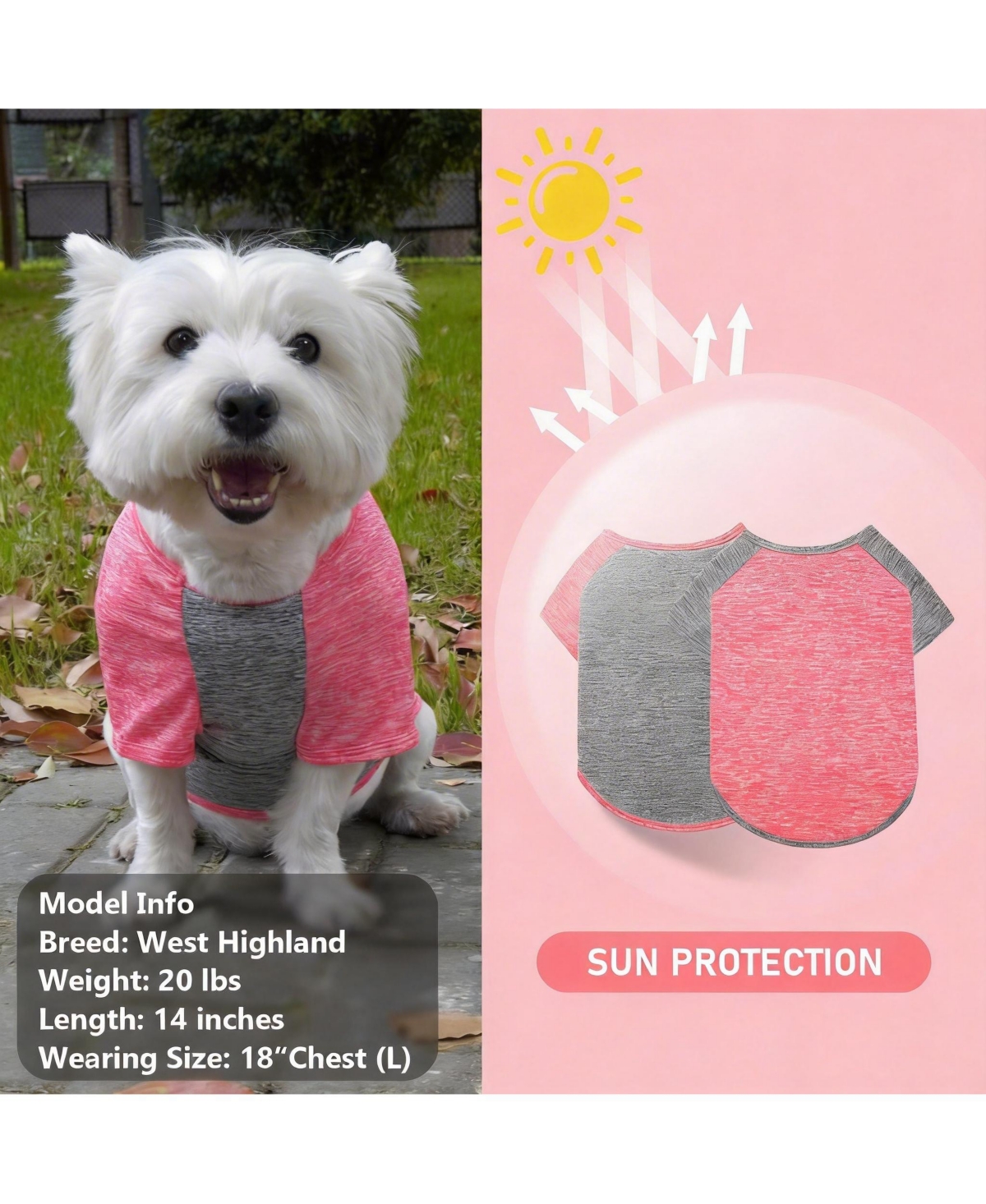 Aronkl 2-Pack Lightweight Athletic Dog T-Shirt with Reflective Label for Outdoor Use