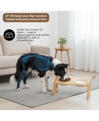 Ceramic Dog Bowl with Stand Adjustable 3 Heights 13&deg; Tilt 2×22 Oz Non-slip Bamboo Stand