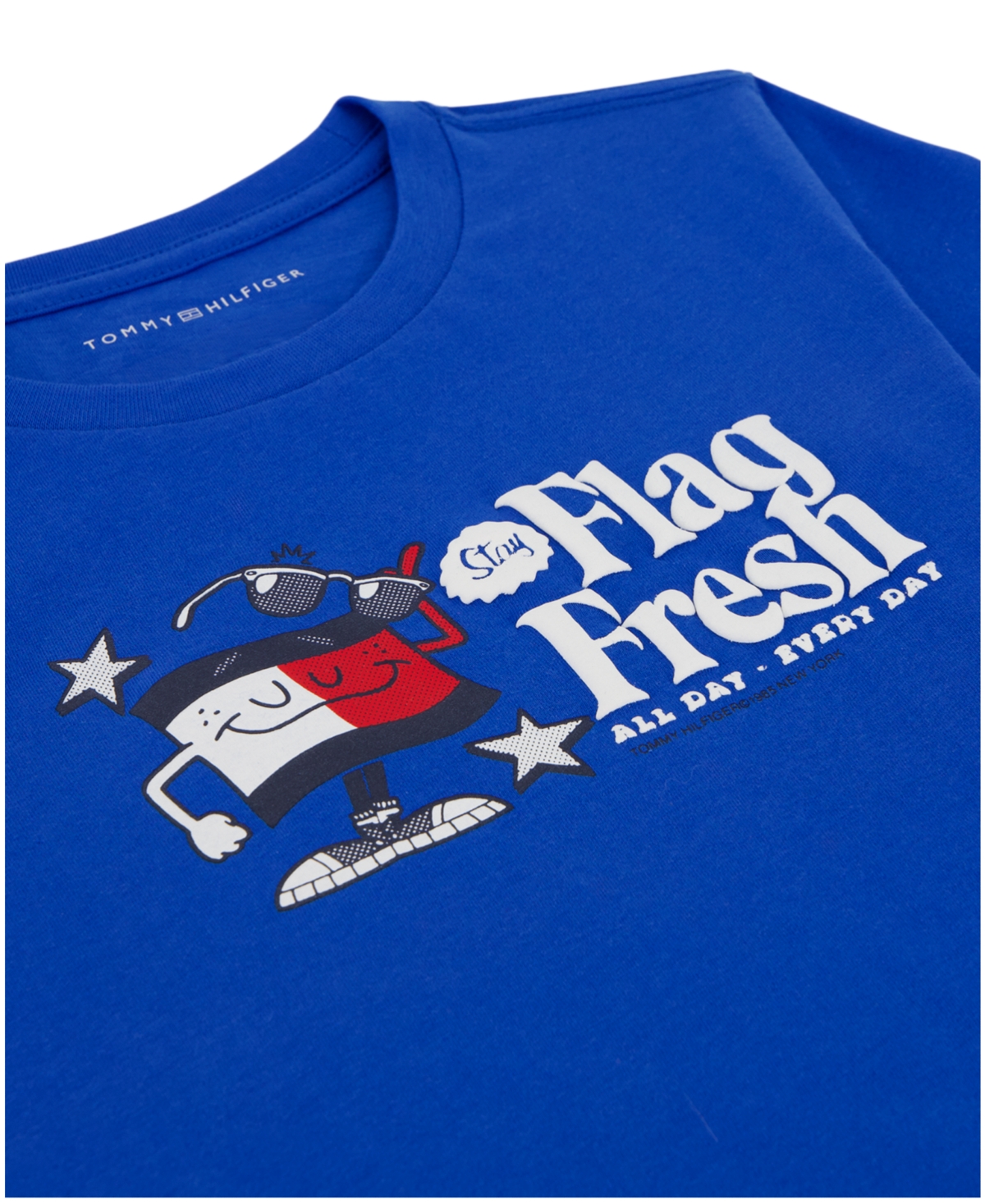 Tommy Hilfiger Boys' 2T-7 Flag Fresh Crewneck T-Shirt