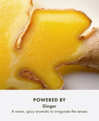 Ginger Essence Sensuous Skin Perfume Scent, 3.4 oz.