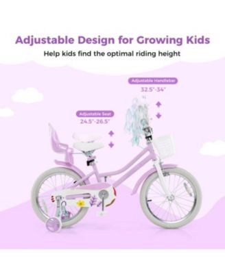 Girls Bike with Doll Seat and Streamers