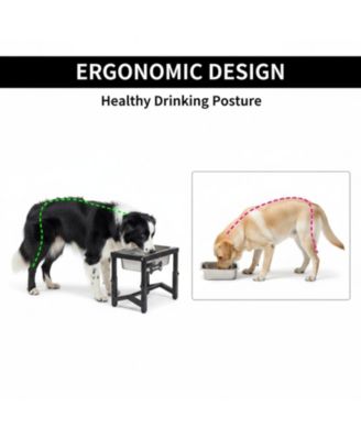 Elevated Dog Water Bowl 4 Adjustable Heights Stainless Steel Stand for Breeds Joint Support