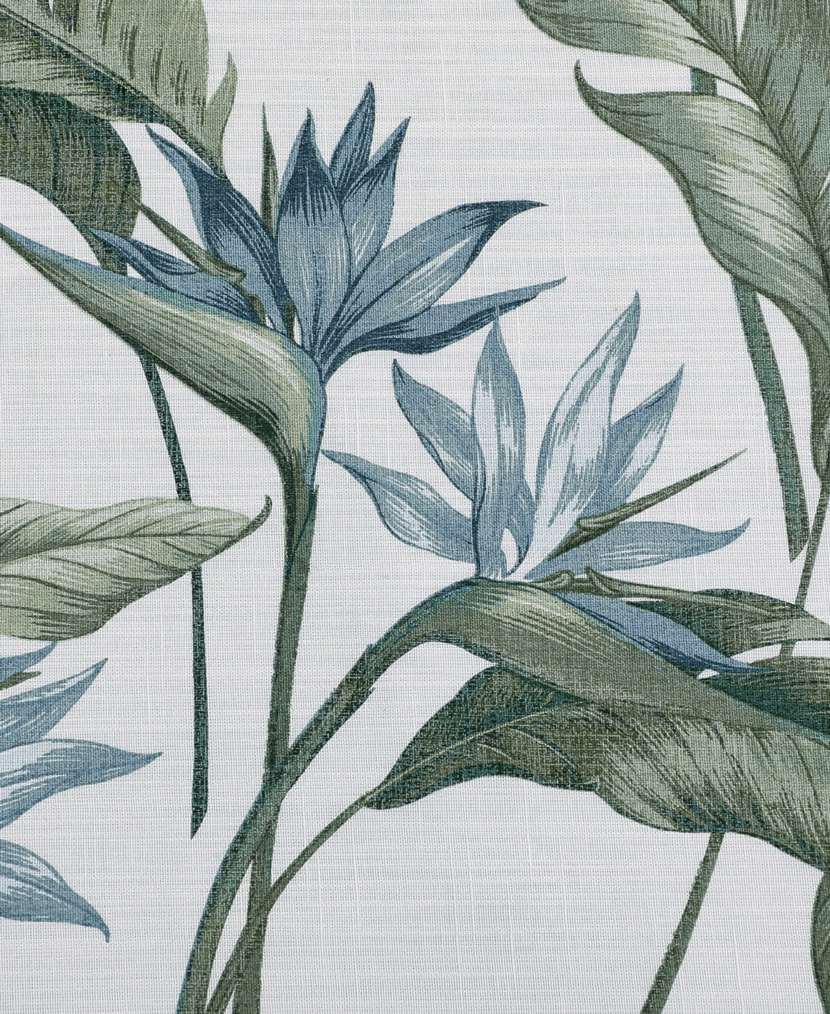 Tommy Bahama Home Birds of Paradise Cotton 3-Pc. Comforter Set