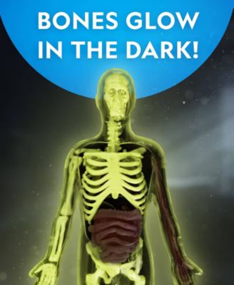 Glow-In-The-Dark Human Body