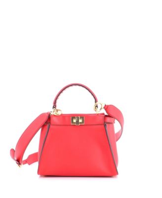 Mini Peekaboo Bag Leather with Zucca Suede Interior