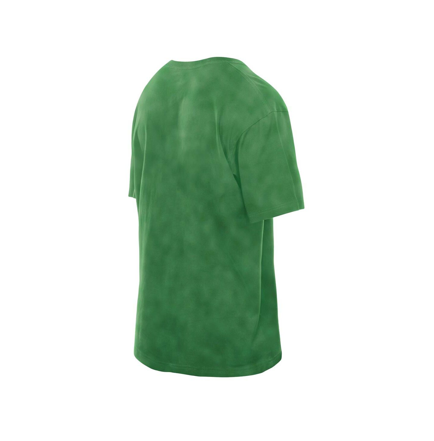 Мужская футболка New Era Kelly Green Boston Celtics Boxy Old School Sport Vintage Wash — фото 2