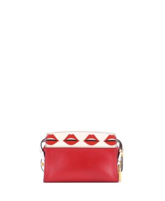 Small Esplanade Crossbody Bag Printed Saffiano and City Calf