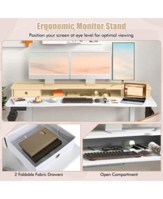 Electric Standing Desk with Two Drawers for Home Office