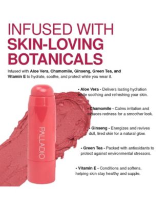 I'm Blushing 2-in-1 Cheek and Lip Tint - 0.20 oz