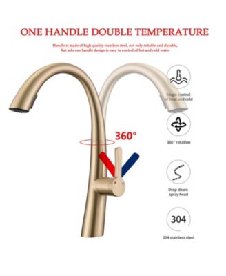 Single Handle Stainless Steel Pull Out Kitchen Faucet