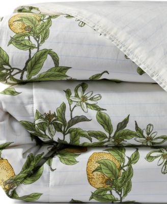 300 Thread Count Cotton Smooth Percale Printed Comforter