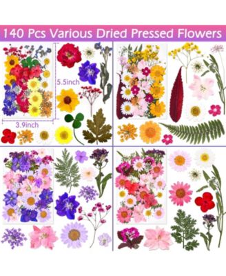 140 PCS Dried Pressed Flowers Leaves Bulk Herbs Kit Scrapbooking DIY Art Crafts Epoxy Molds Candle Soap Making Nails Decor