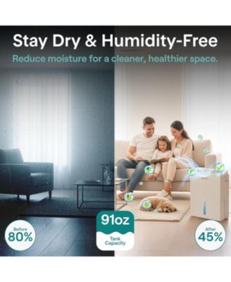 91oz Dehumidifier for Home – Covers Up to 1200 Sq Ft, Timer, Sleep Mode, Humidity Control, Includes Removable Closet Dehumidifier
