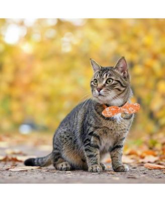 Bowtie Cat Collar With Bell Breakaway Kitten Collars Removable Bow Cotton Stylish