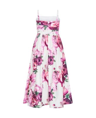 Women's Rosalee Sleeveless Print Maxi Dress