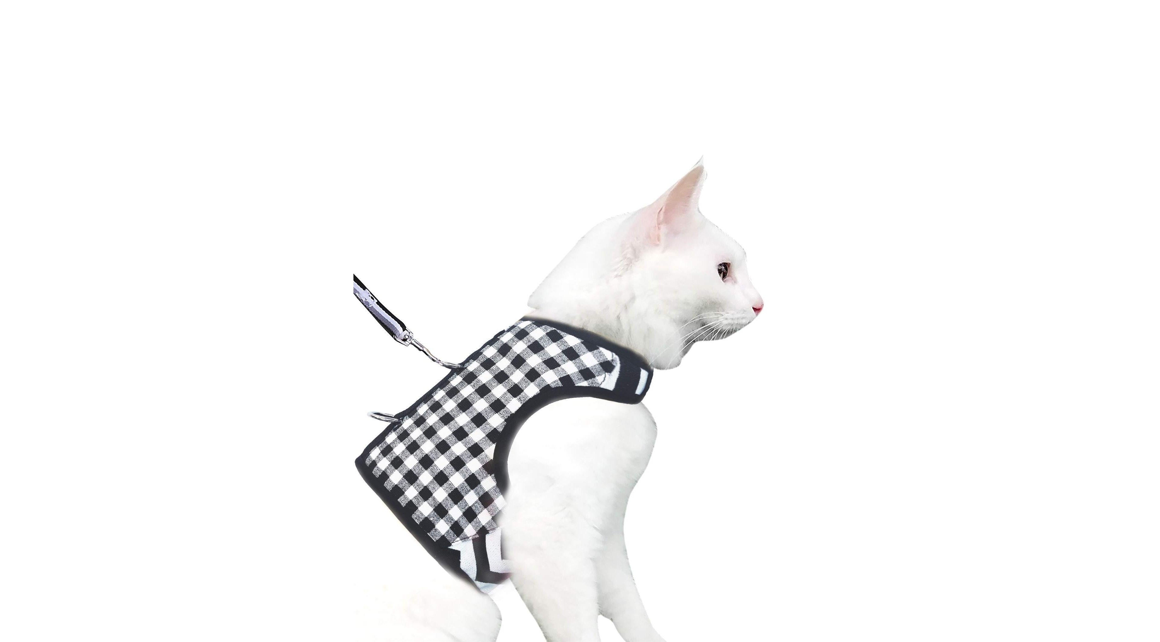 Aronkl Escape Proof Cat Harness And Leash Set Breathable Mesh Adjustable Padded Vest For Walking