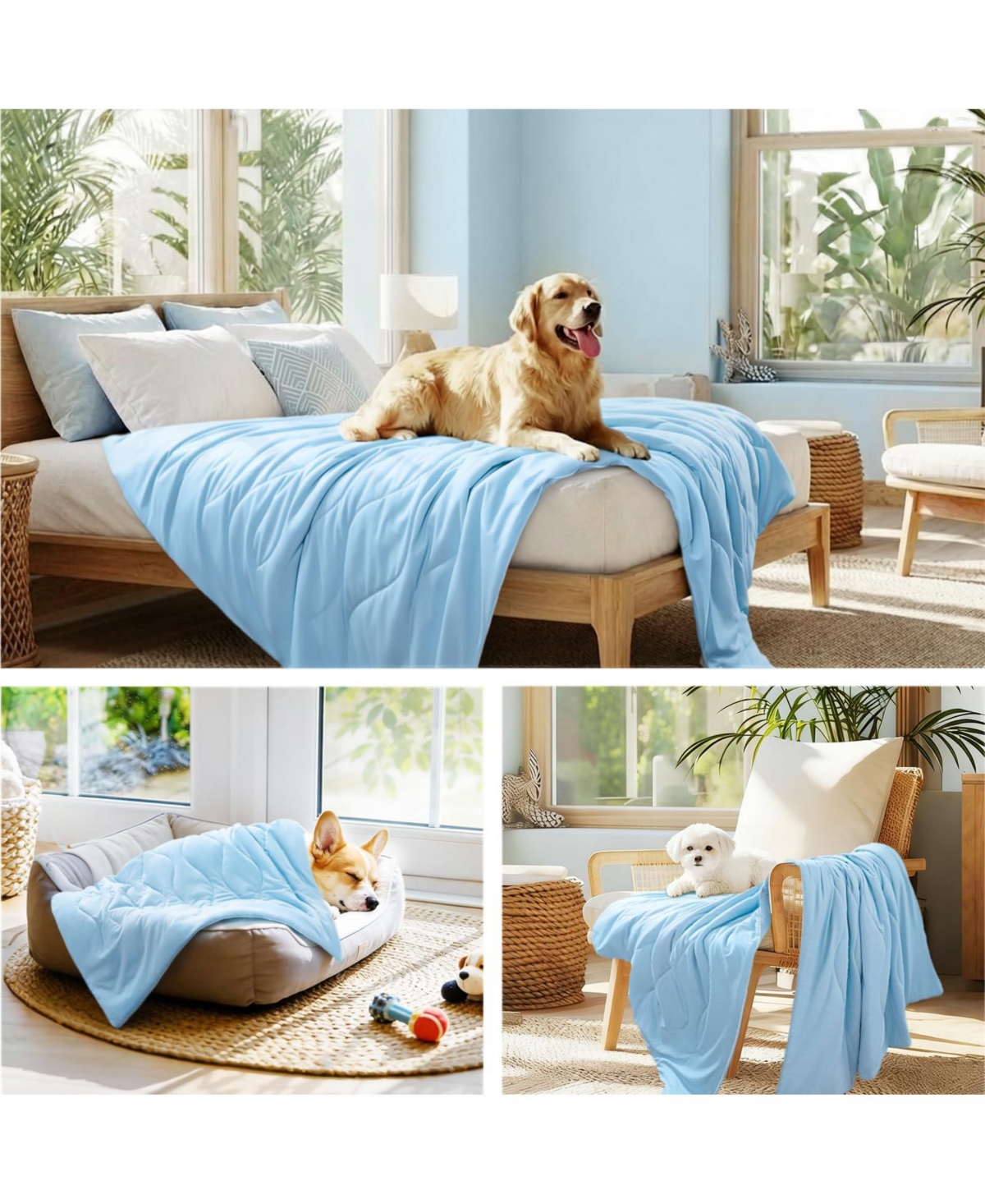 Aronkl Cat Dog Blanket Washable Q-max>0.5 Self-cooling Soft Breathable Calming Pet Mat for Sofa Crate Bed