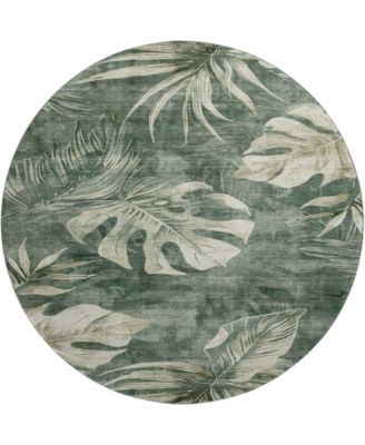 Mayfield Machine Washable AMF1887 8' x 8' Round Area Rug