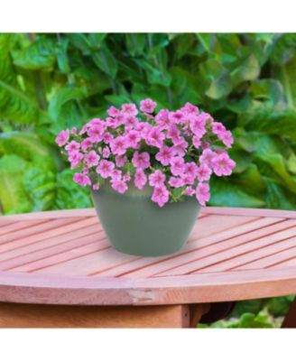 Large Ceramic Planter - Indoor or Outdoor Plant Pot with Drainage Holes - Seafoam Glaze Finish - 15" - Chalet